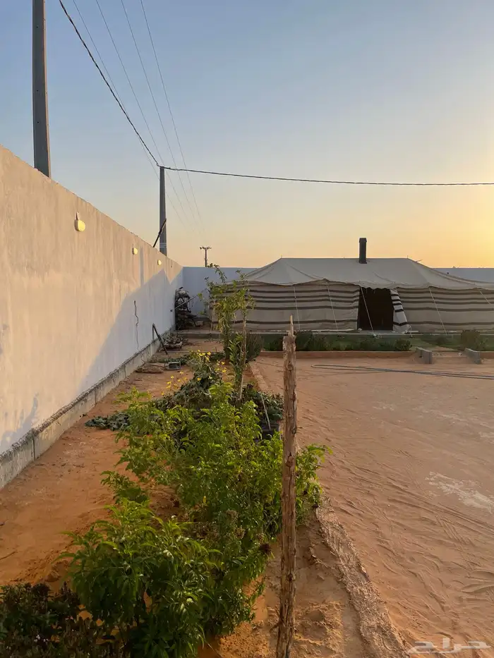 استراحة في الحنية المزاحمية للبيع او للايجار سنوي 6