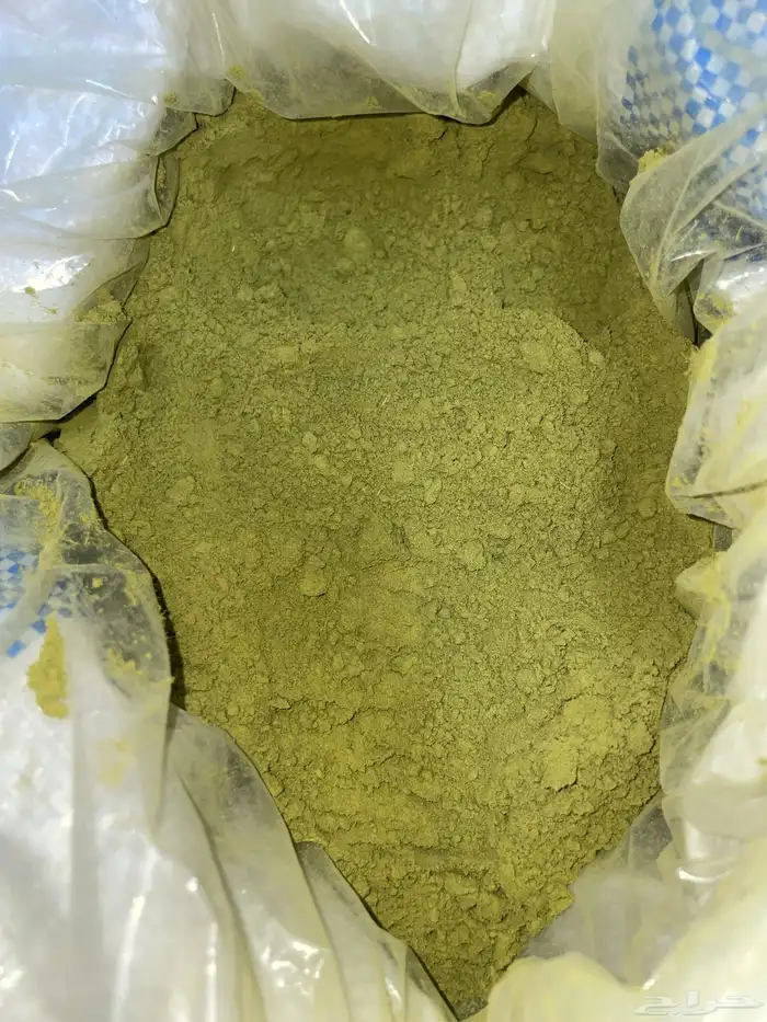 حنا ينبع النخل اصلي من مزرعتنا 1