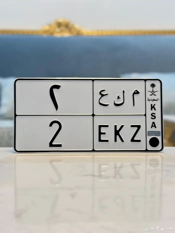 لوحة خصوصي فردي 2 0