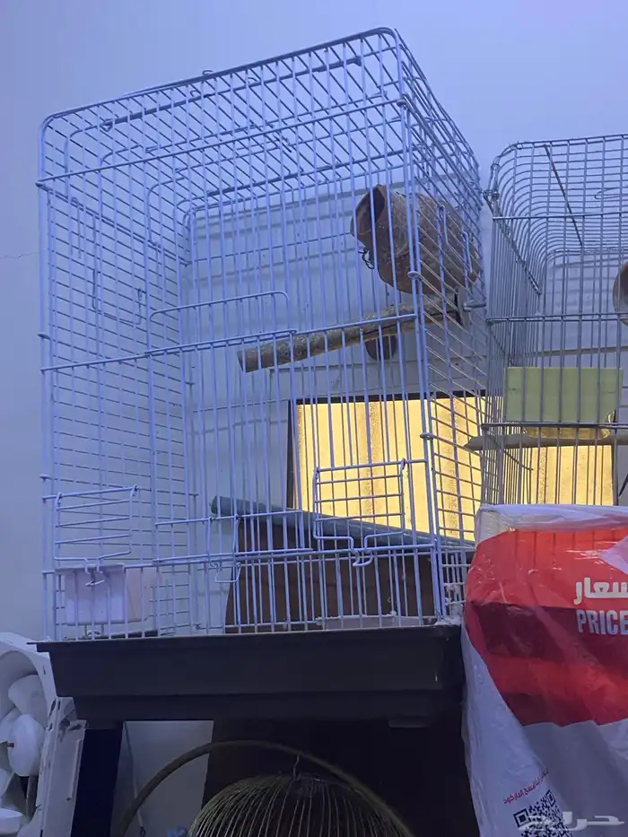 أقفاص طيور وقفص ببغاء 2