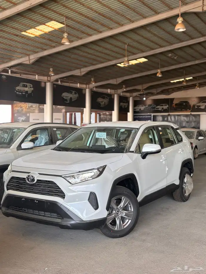 راف فور ستاندر دبل 2025 0