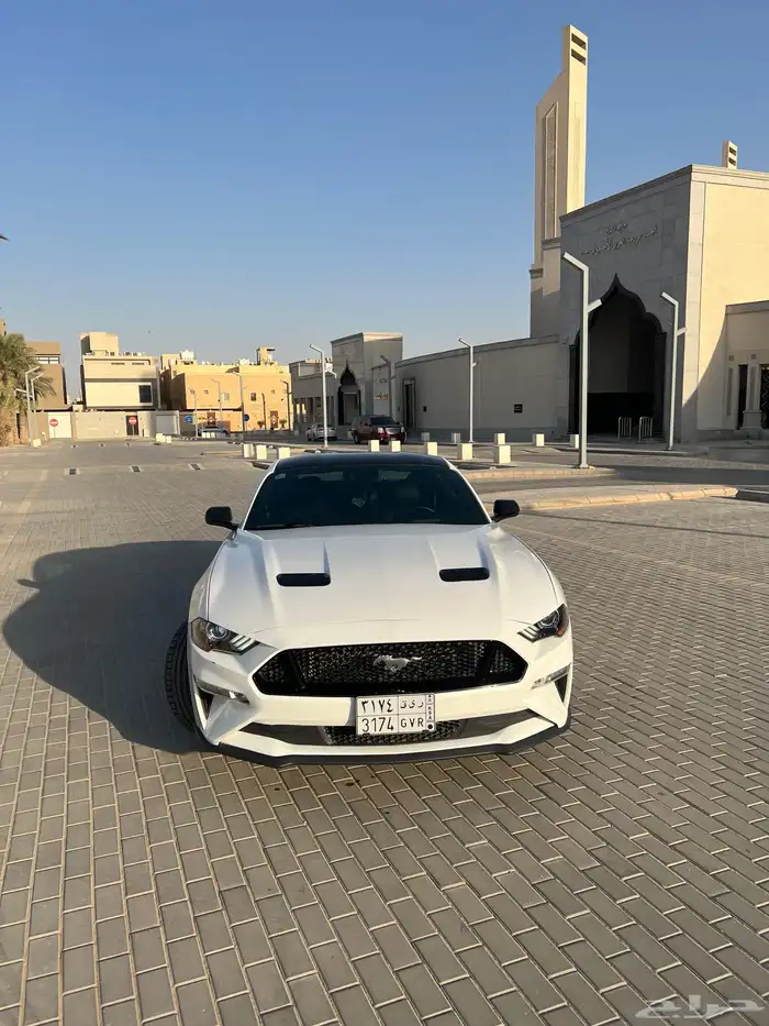 موستنق GT 2018 1