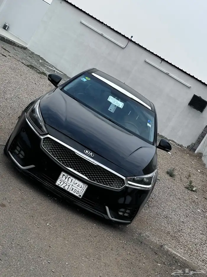 كادنزا فل اوبشن 7