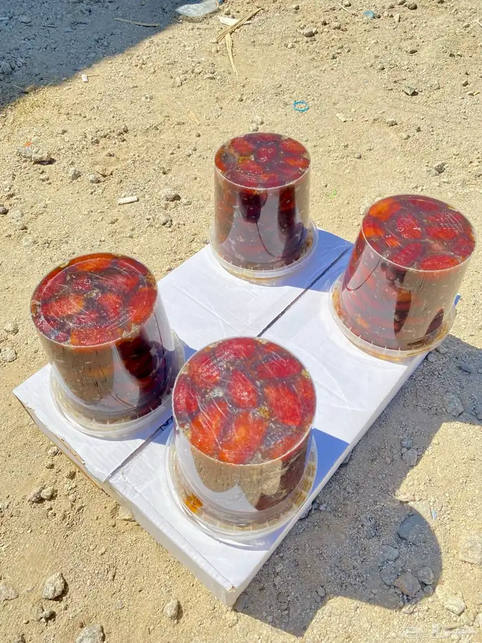 علب تمر خلاص وسري وصفري فاخر 3