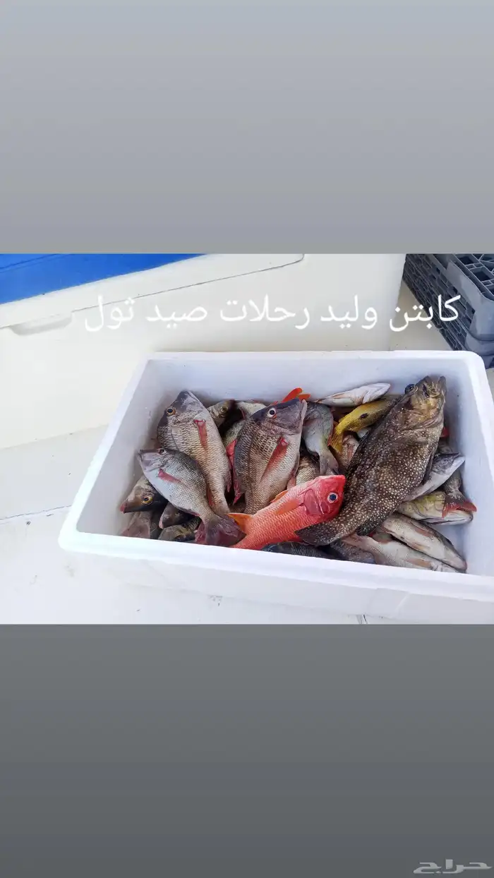 كابتن وليد للرحلات البحريه بثول 0