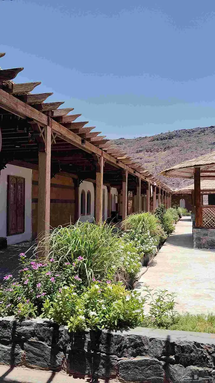 باحث عن تبني جميع أنواع الحيوانات الأليفة 0