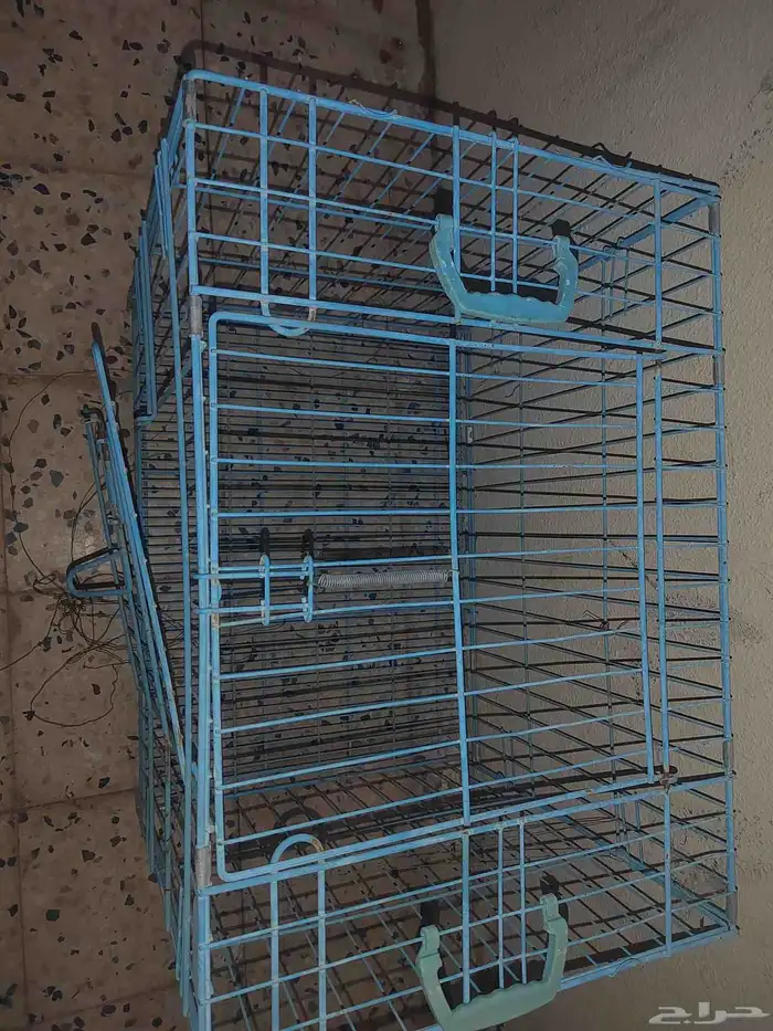 شبك قطط للبيع 1