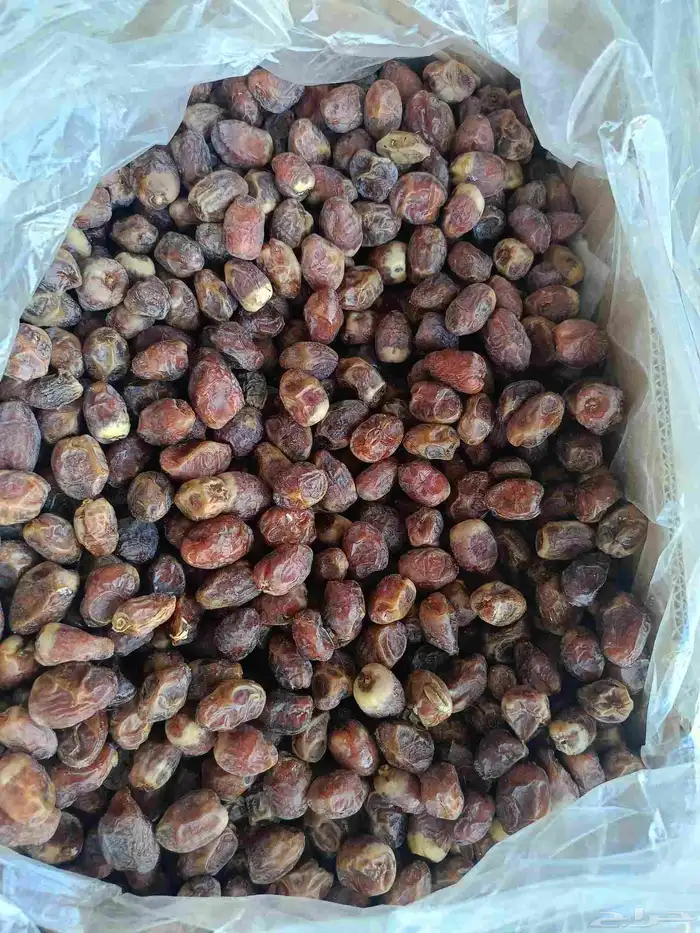 يوجد تمر اخلاص وسط ينفع معجون 1