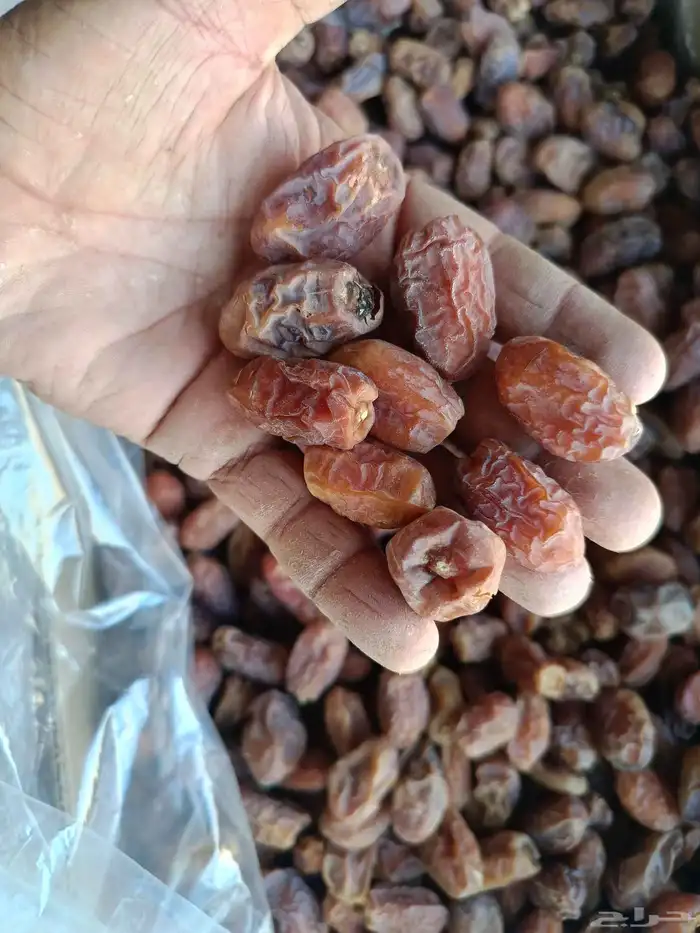 يوجد تمر اخلاص وسط ينفع معجون 2