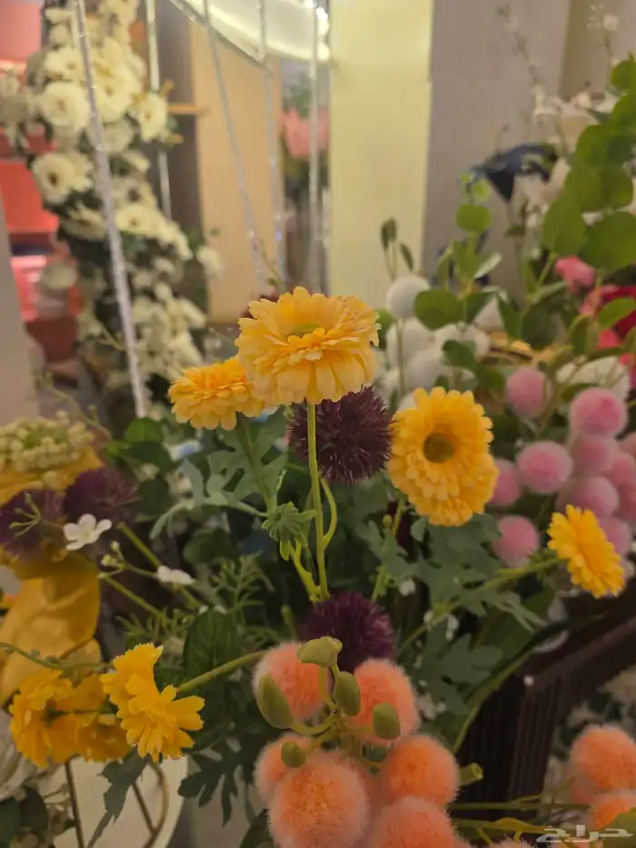 تنسيق حفلات 5