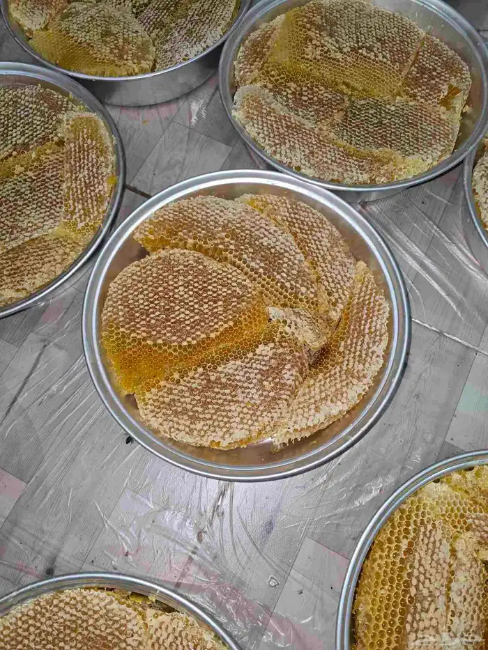 عسل السدر الجنوبي الفاخر 1