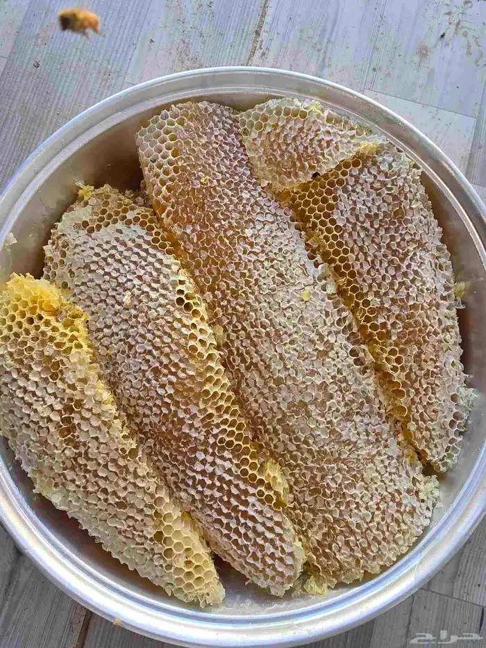 عسل السدر الجنوبي الفاخر 2