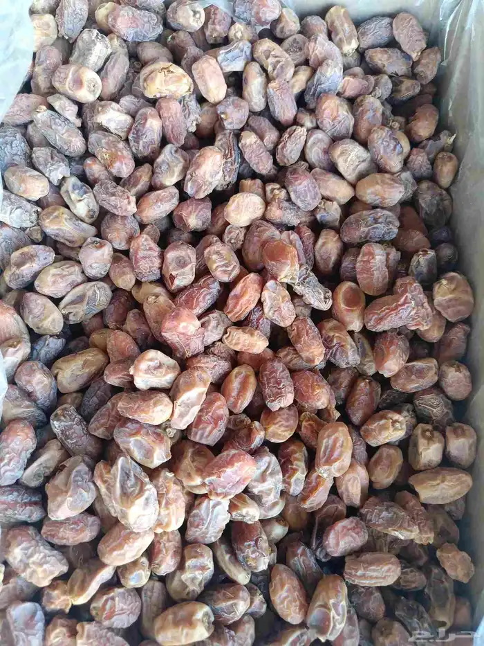 يوجد تمر اخلاص وسط ينفع معجون 0