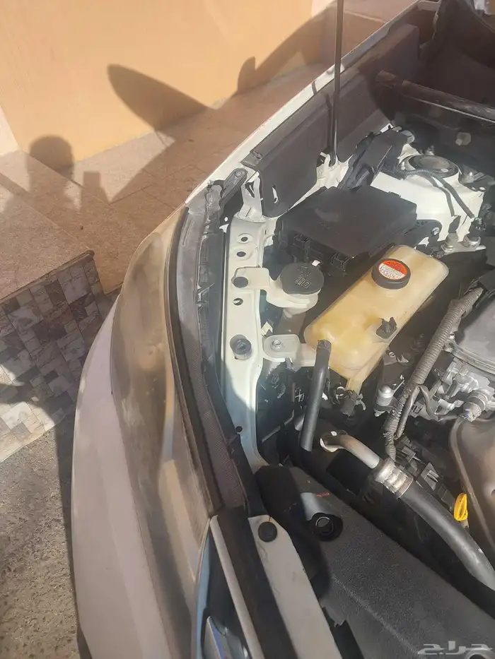 رافور موديل 14 شد بلد 15