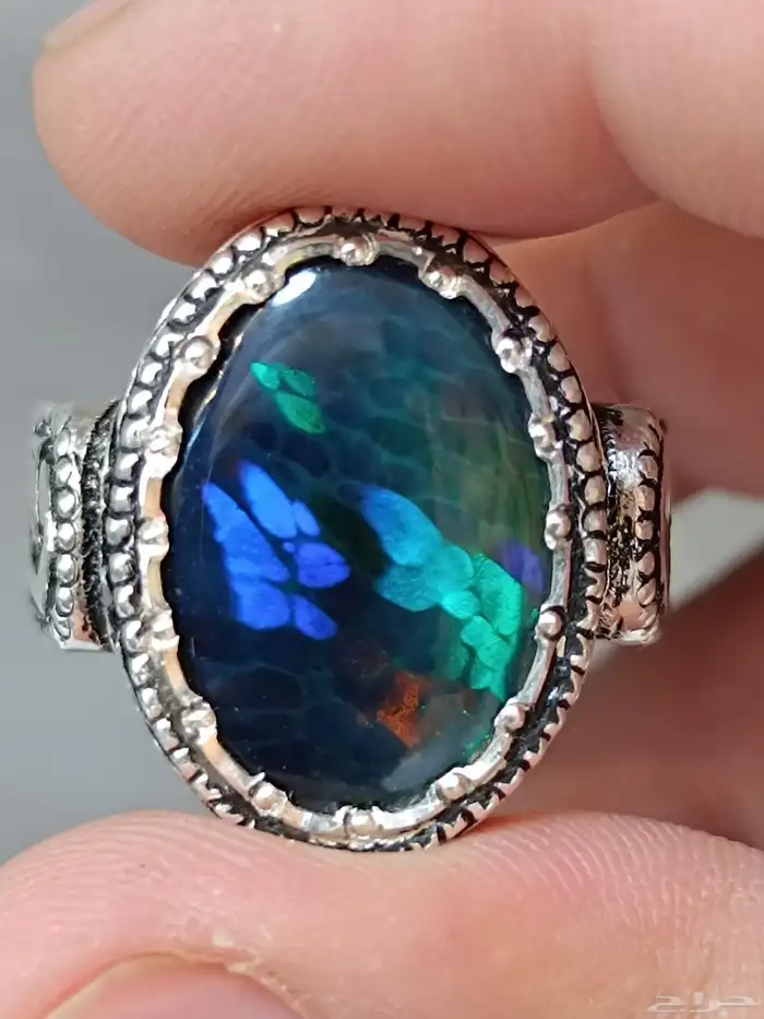 اوبال اثيوبي خليه فل فاير صياغة الوليف 0