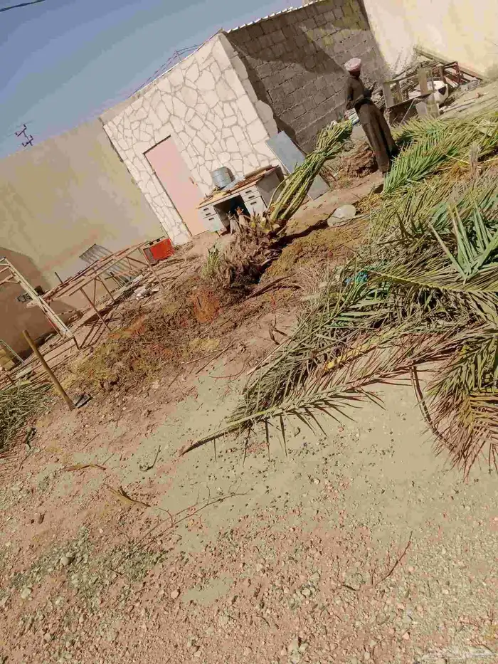 لتنفيذ أعمال التراث حجر ترميم طين 7