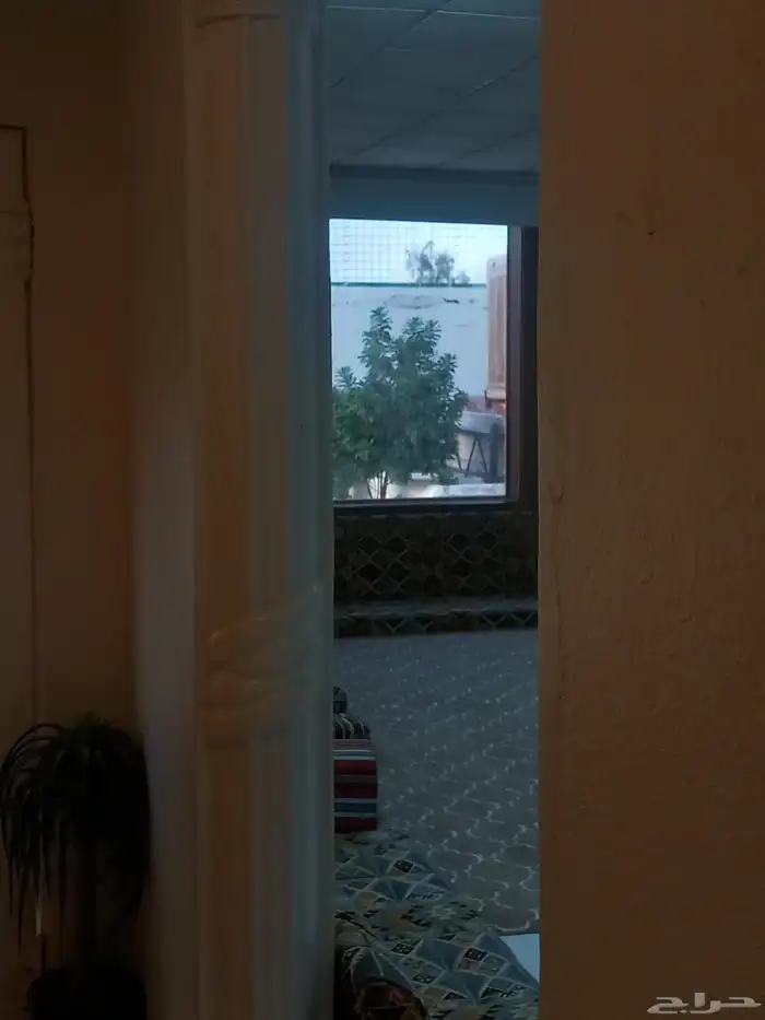 استراحه قسمين سعر الايجار 250 ريال مساحه 3000 متر 22