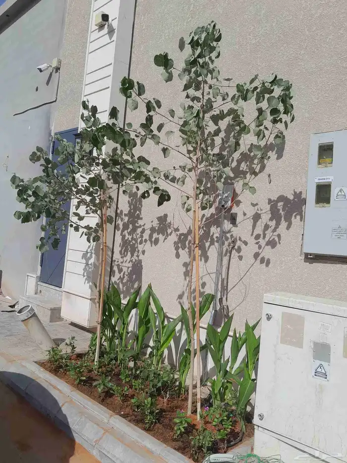 مشتل تنسيق حدائق 3