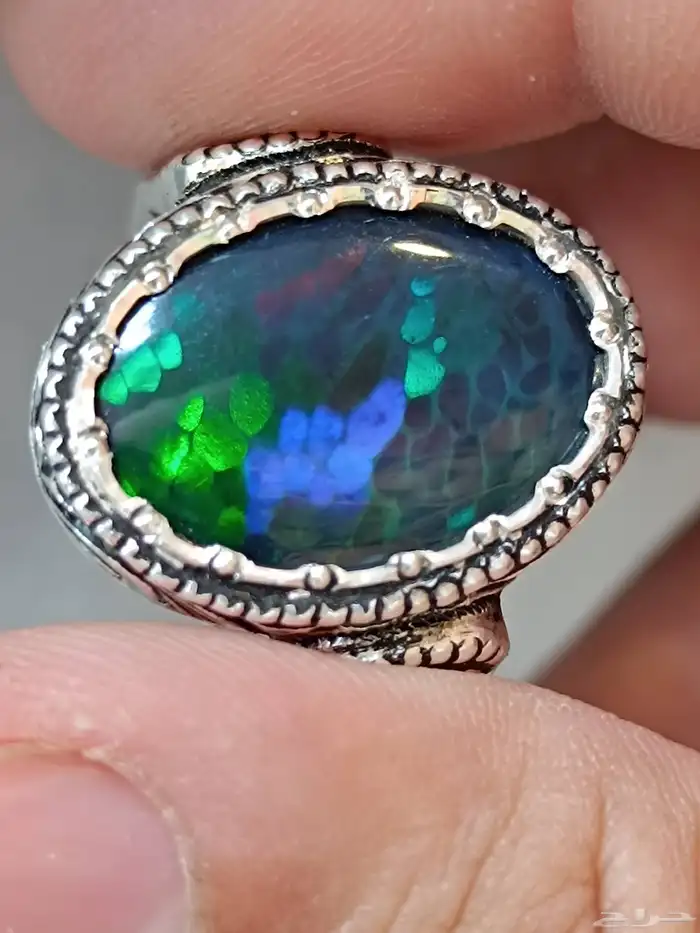 اوبال اثيوبي خليه فل فاير صياغة الوليف 1