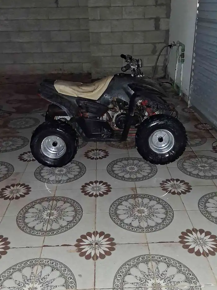 للبيع دباب وسيط حجم 100 1