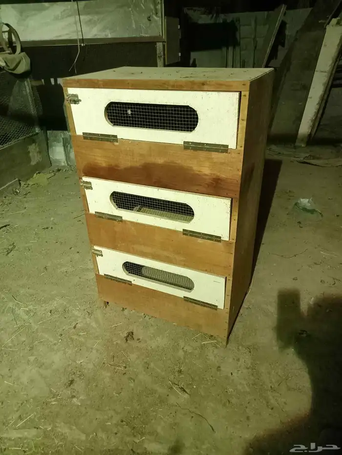 حضانه صيصان 0