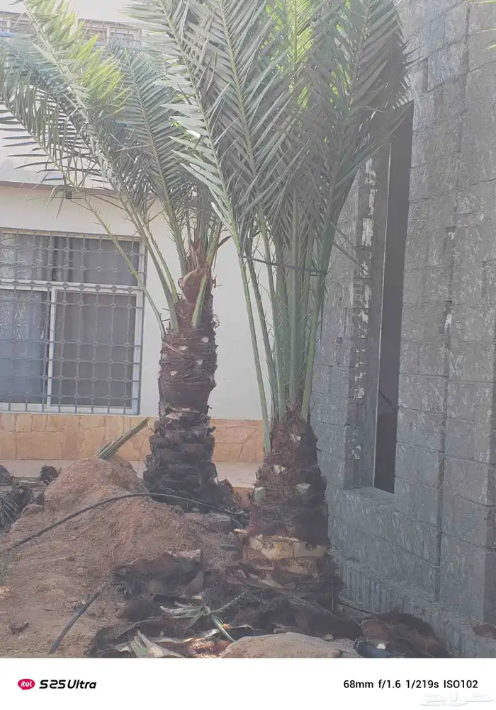 تكريب وشنتن تكريب. 5