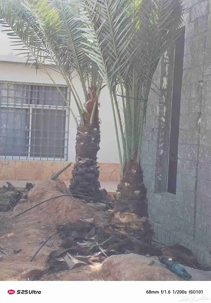 تكريب وشنتن تكريب. 4