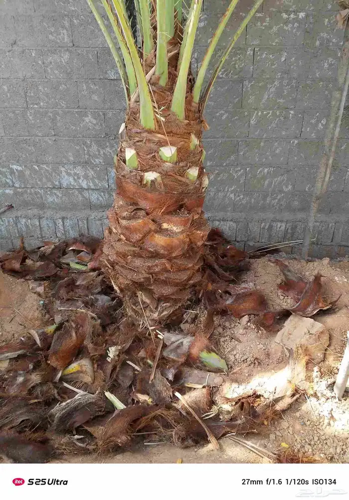 تكريب وشنتن تكريب. 6