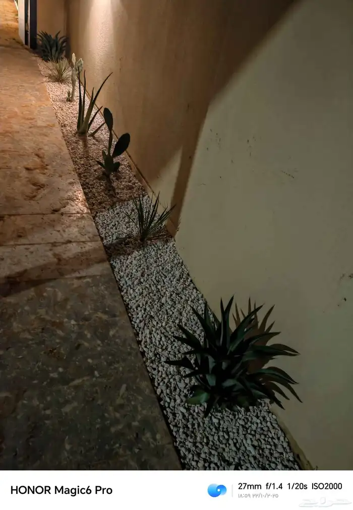 الزراعة الثيل الطبيعي وتركيب شبكات الري العادي والاتوماتيك 0