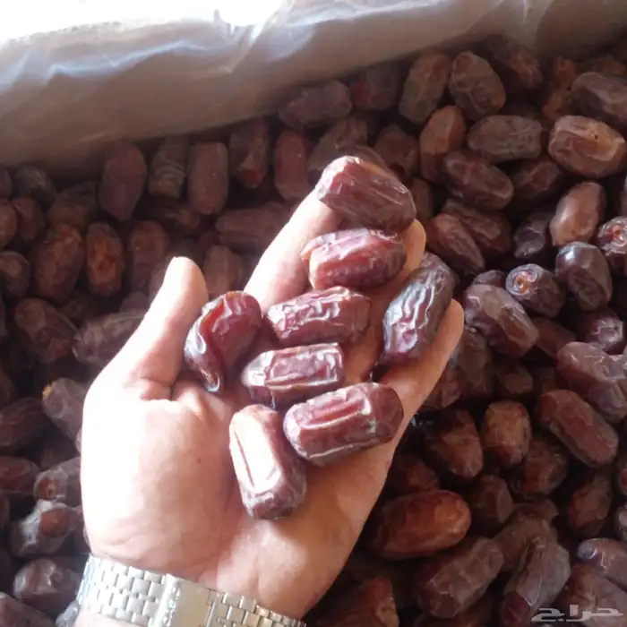 تمر خضري وخلاص وصقعي للبيع 2