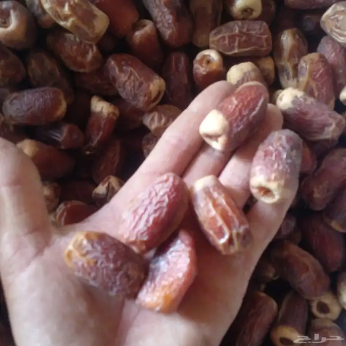 تمر خضري وخلاص وصقعي للبيع 0