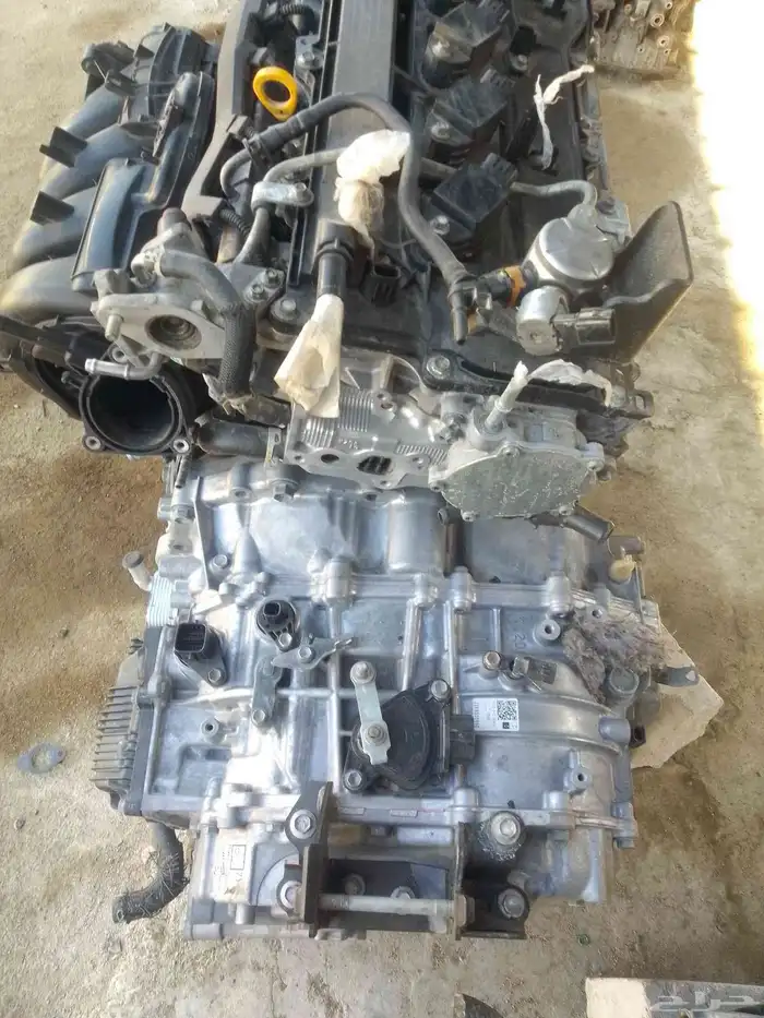 مركز ابوابراهيم جده قوزيز عرض موقت مكنية كوريلا موديل 2024مع 1