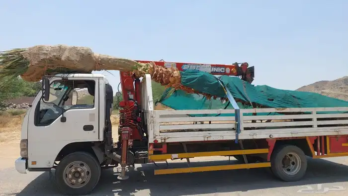 دينا ونش ايسوزو شاص طويل nqr 2006 للبيع 3