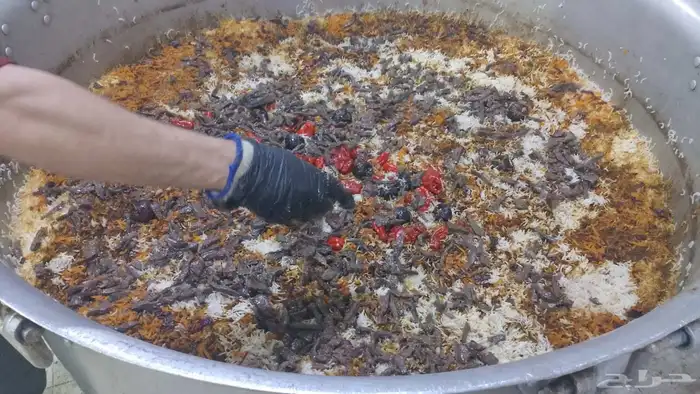 خروف مشوي 4
