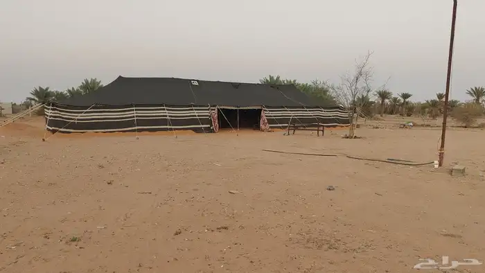 بيت شعر 7 في 24 2