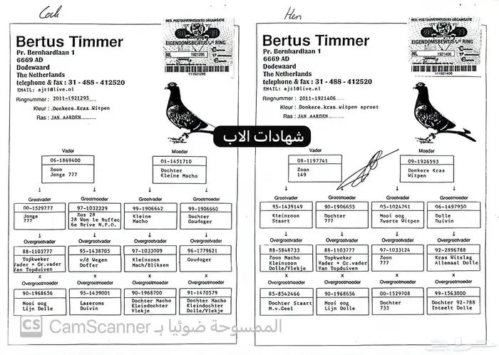 فروخ فان روي x جان اردن ( بشهادات) 3