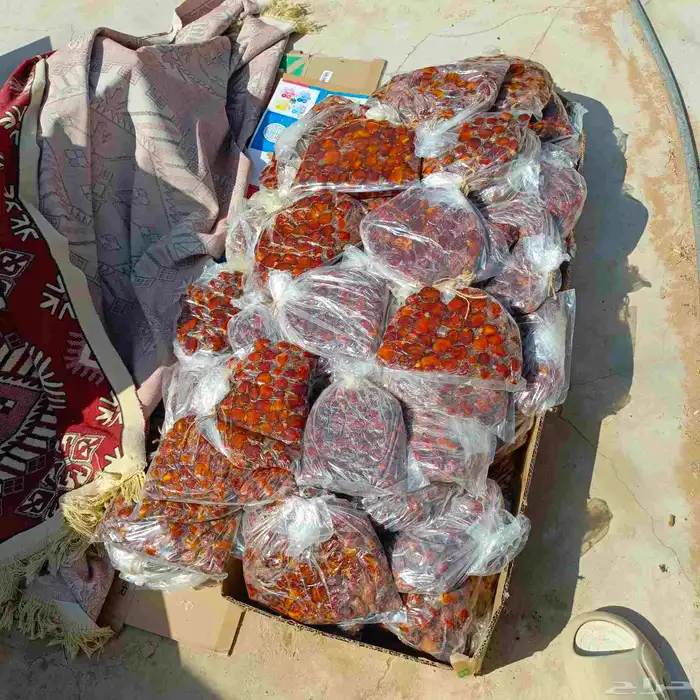 تمر كنز بيت وشغل يدوي كمية محدوده 1