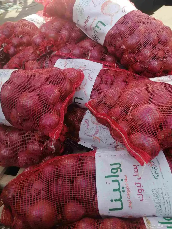 توريد خظار وفواكه طازجة بعقود شهرية. 2