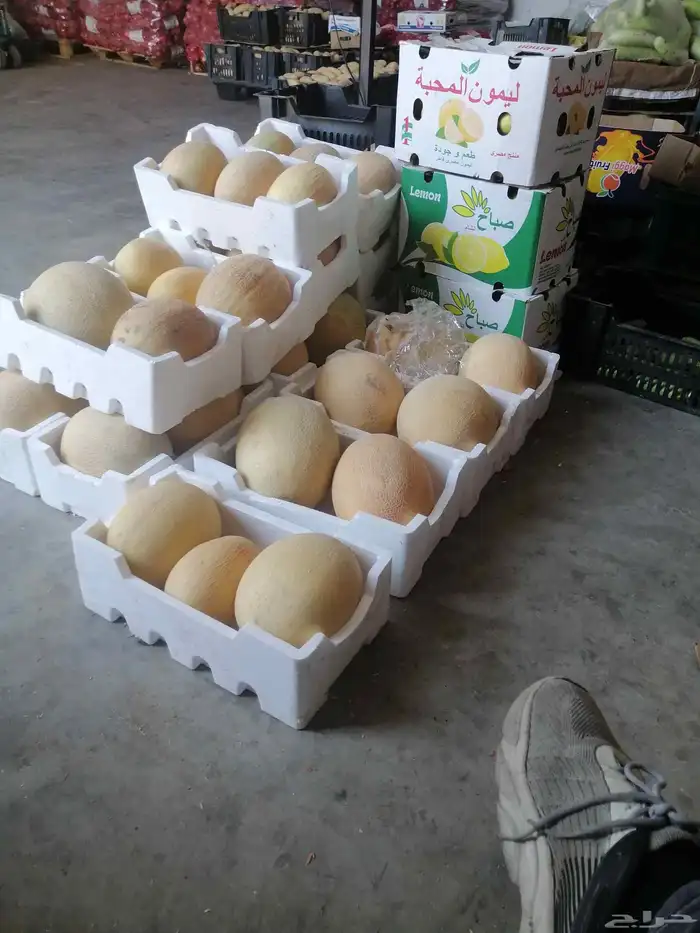 توريد خظار وفواكه طازجة بعقود شهرية. 0