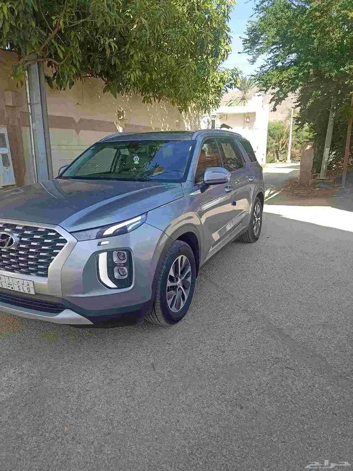 باليسيد 2020 0