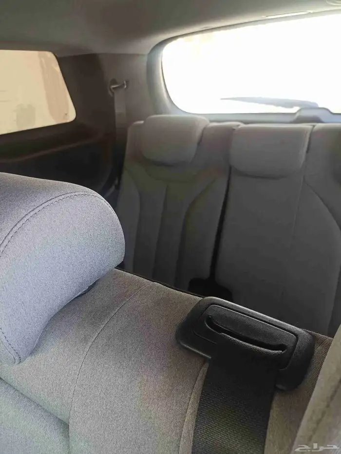 باليسيد 2020 12