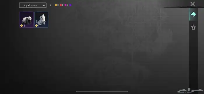 حساب ببجي للبيع 300 الاستلام يد بيد 54