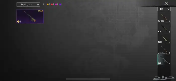 حساب ببجي للبيع 300 الاستلام يد بيد 23
