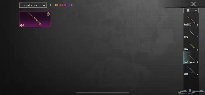 حساب ببجي للبيع 300 الاستلام يد بيد 24