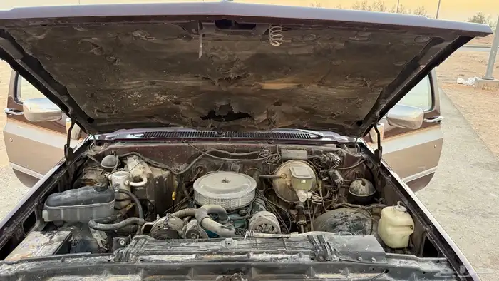 للبيع جمس شفر مديل 1983 17