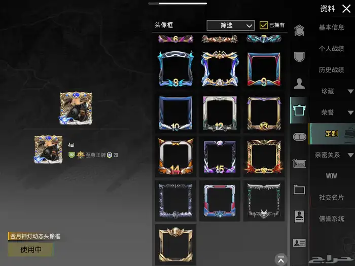 حساب ببجي فخم 13