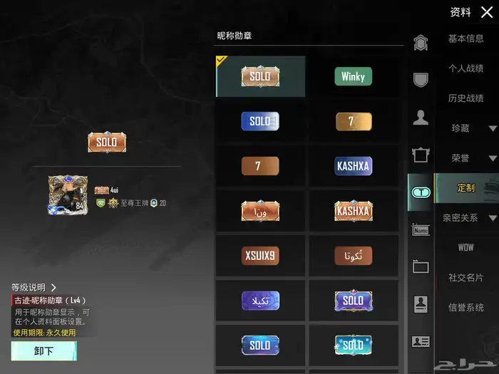 حساب ببجي فخم 15