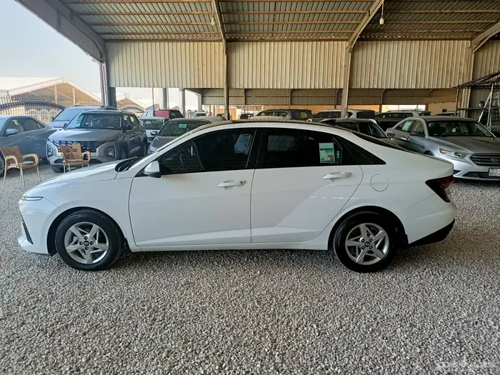 الخرج اكسنت 2024 2