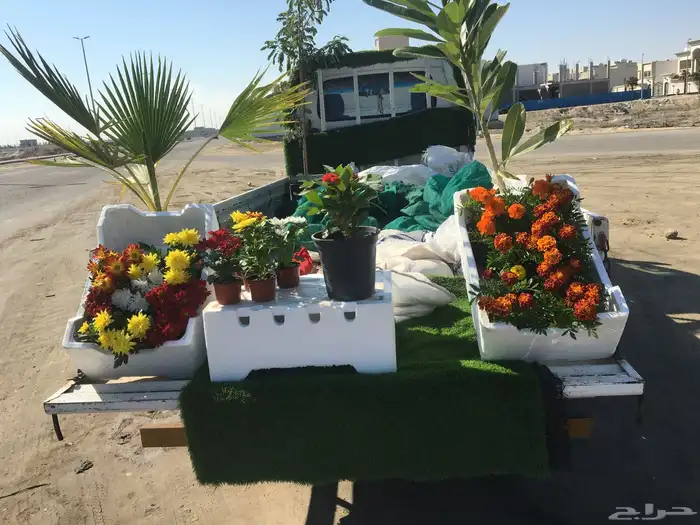 تنسيق الحدائق المنزلية 13