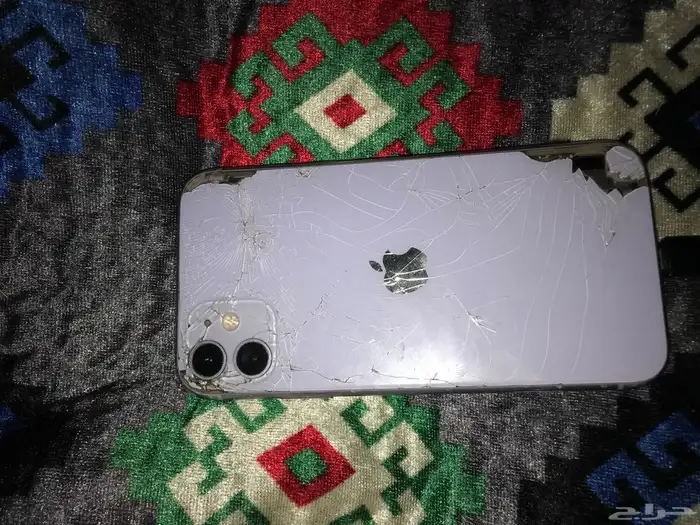 ايفون 11 عادي 3